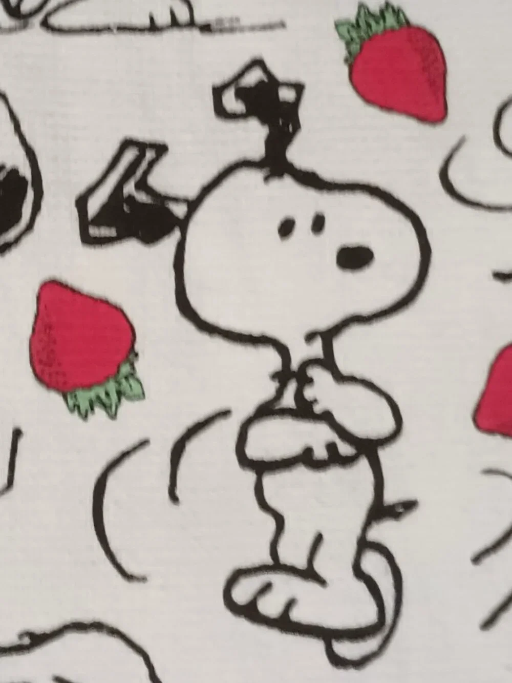 NWT~Peanuts Snoopy & Strawberries Multi-Images Cotton Kitchen Towels -Set of 2